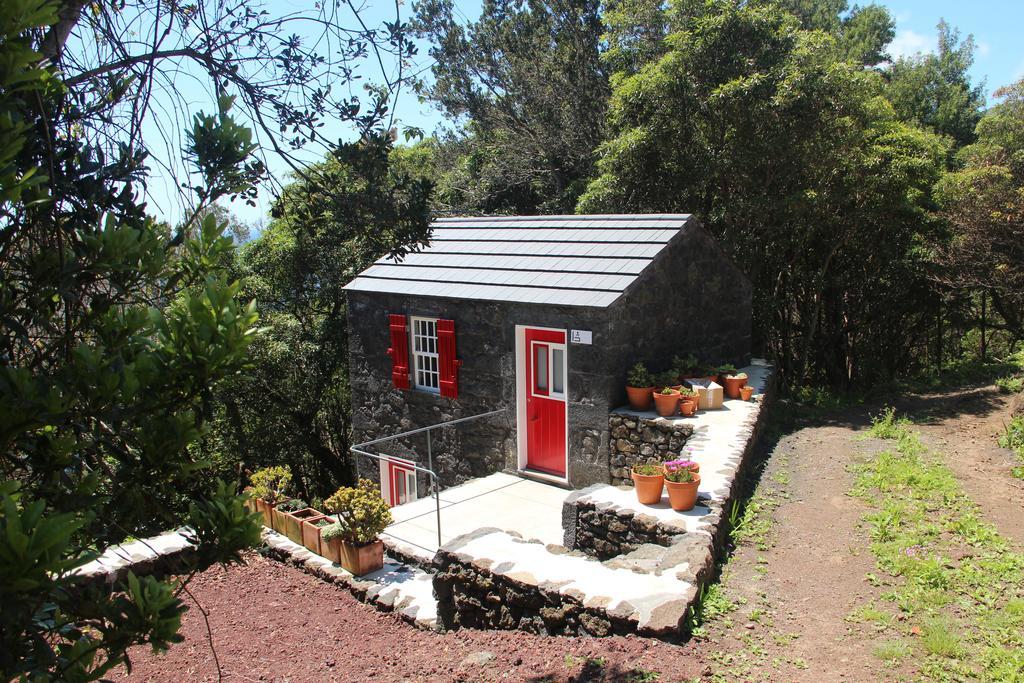 Maison d'hôtes Casas De Incensos - Ter -Ta à Pontas Negras Extérieur photo