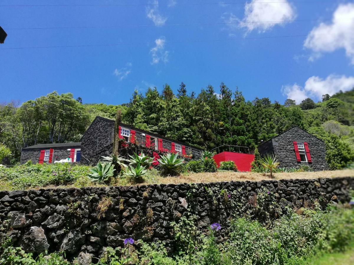 Maison d'hôtes Casas De Incensos - Ter -Ta à Pontas Negras Extérieur photo