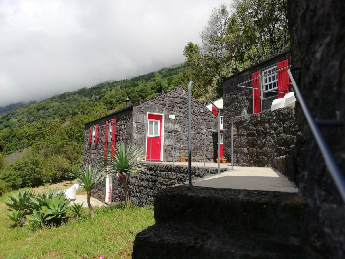 Maison d'hôtes Casas De Incensos - Ter -Ta à Pontas Negras Extérieur photo