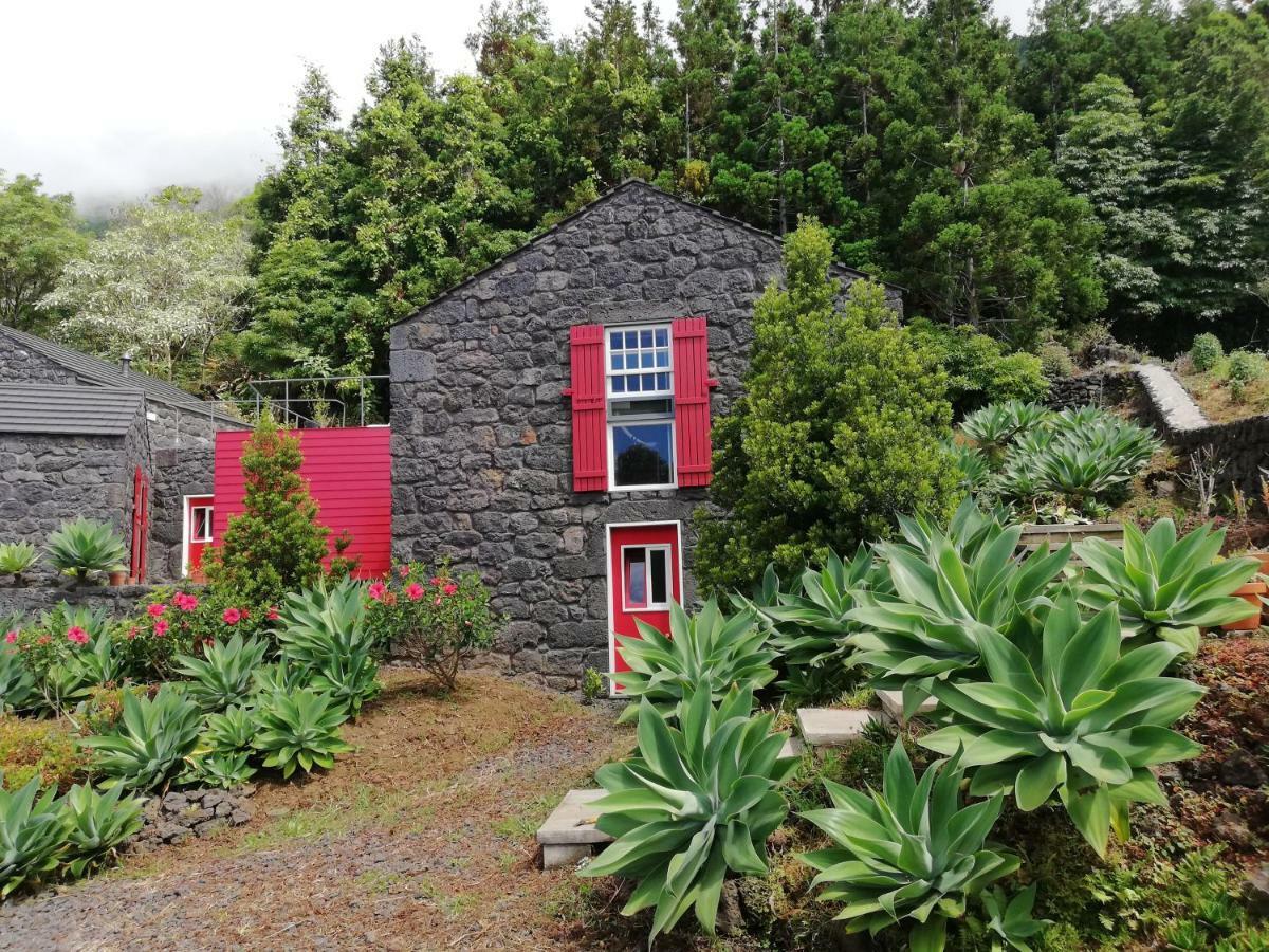 Maison d'hôtes Casas De Incensos - Ter -Ta à Pontas Negras Extérieur photo